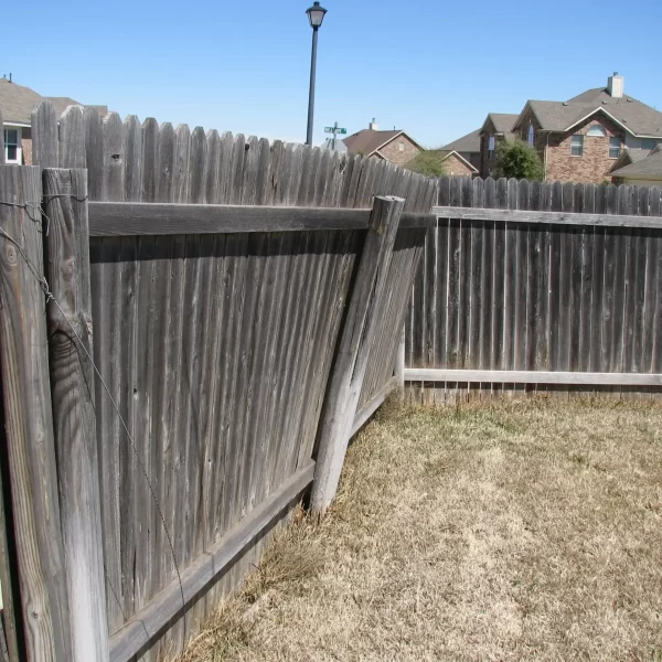 Fence Removal