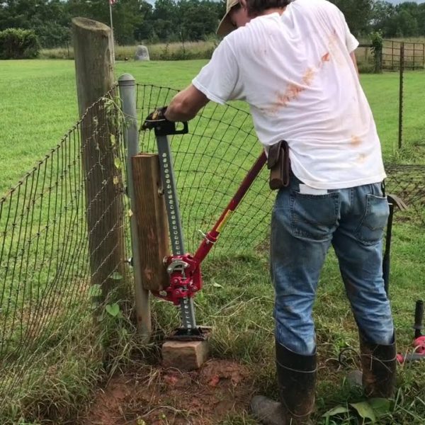 Fence Removal