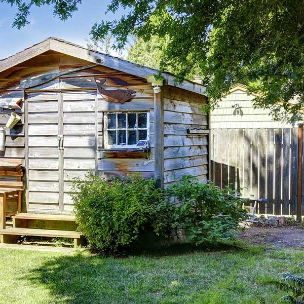Shed Removal